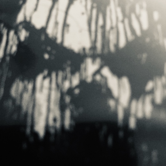 Sinister - Horror DVD - Ethan Hawke - Picture 15 of 16